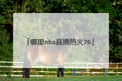 哪里nba直播热火76