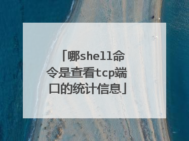 哪shell命令是查看tcp端口的统计信息