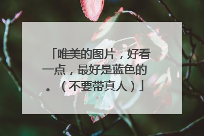 唯美的图片，好看一点，最好是蓝色的。（不要带真人）