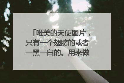 唯美的天使图片，只有一个翅膀的或者一黑一白的。用来做壁纸，越多越好