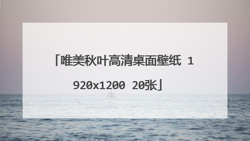 唯美秋叶高清桌面壁纸 1920x1200 20张