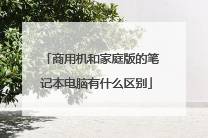 商用机和家庭版的笔记本电脑有什么区别
