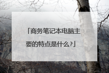 商务笔记本电脑主要的特点是什么?