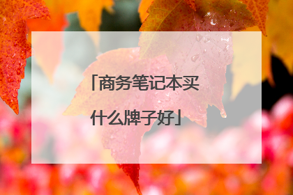 商务笔记本买什么牌子好