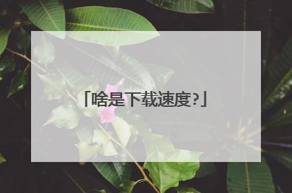 啥是下载速度?