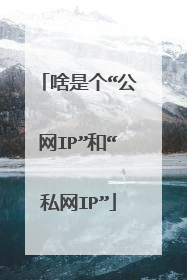 啥是个“公网IP”和“私网IP”
