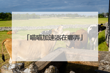 喵喵加速器在哪弄