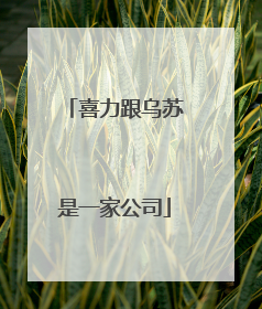 喜力跟乌苏是一家公司