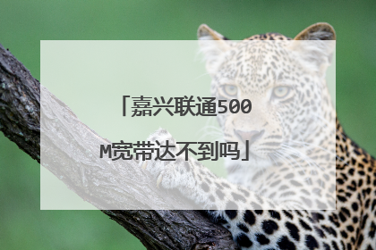 嘉兴联通500M宽带达不到吗
