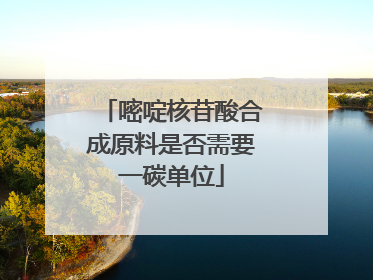 嘧啶核苷酸合成原料是否需要一碳单位