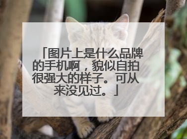 图片上是什么品牌的手机啊,貌似自拍很强大的样子。可从来没见过。