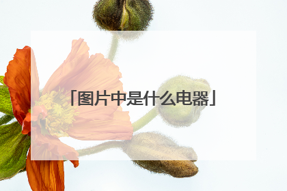 图片中是什么电器
