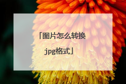 图片怎么转换jpg格式