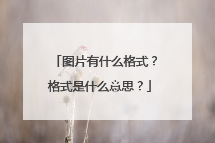 图片有什么格式?格式是什么意思?