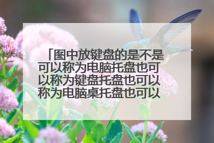 图中放键盘的是不是可以称为电脑托盘也可以称为键盘托盘也可以称为电脑桌托盘也可以称为电脑桌键盘托盘