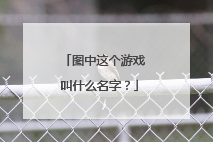 图中这个游戏叫什么名字?