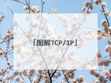 图解TCP/IP