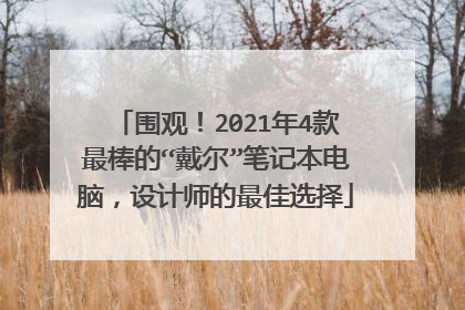 围观！2021年4款最棒的“戴尔”笔记本电脑，设计师的最佳选择
