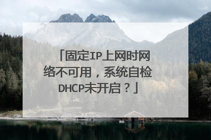 固定IP上网时网络不可用，系统自检DHCP未开启？