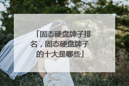 固态硬盘牌子排名,固态硬盘牌子的十大是哪些