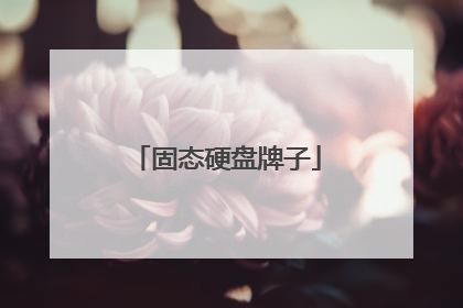 固态硬盘牌子