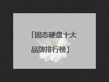 固态硬盘十大品牌排行榜