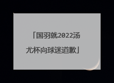国羽就2022汤尤杯向球迷道歉