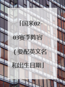 国米02-03赛季阵容（要配英文名和出生日期