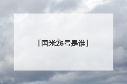 国米26号是谁