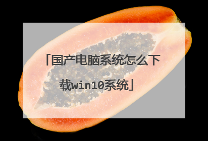 国产电脑系统怎么下载win10系统