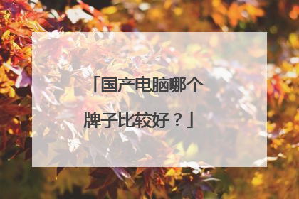国产电脑哪个牌子比较好?