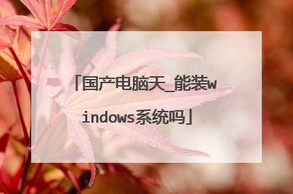 国产电脑天_能装windows系统吗