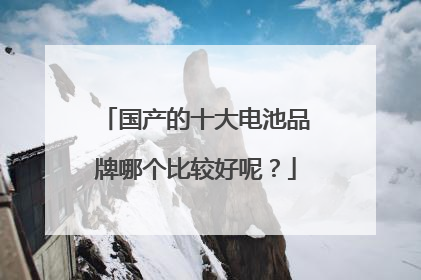 国产的十大电池品牌哪个比较好呢?