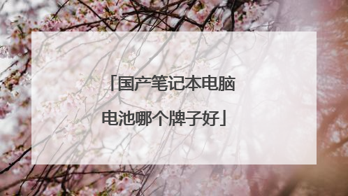 国产笔记本电脑电池哪个牌子好