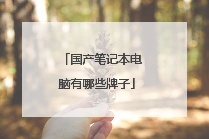 国产笔记本电脑有哪些牌子