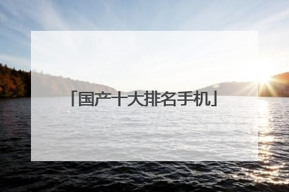 国产十大排名手机