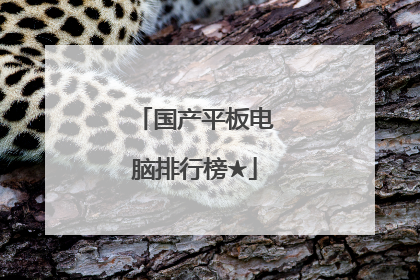 国产平板电脑排行榜★