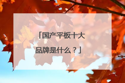国产平板十大品牌是什么?