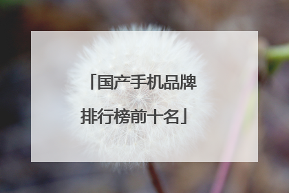 国产手机品牌排行榜前十名