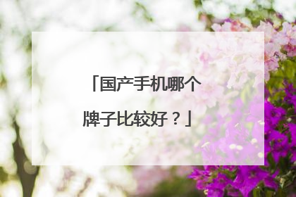 国产手机哪个牌子比较好?