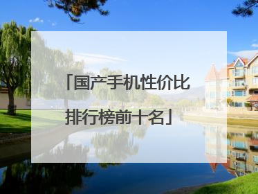 国产手机性价比排行榜前十名