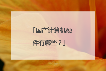 国产计算机硬件有哪些?
