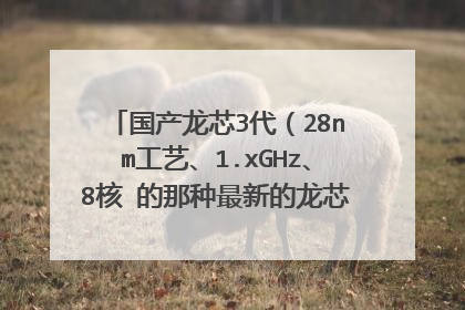 国产龙芯3代（28nm工艺、1.xGHz、8核 的那种最新的龙芯3代）处理器的性能怎么样？能跑Wi