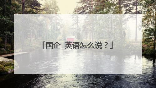 国企 英语怎么说？
