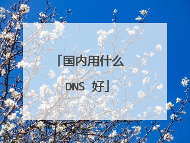 国内用什么 DNS 好