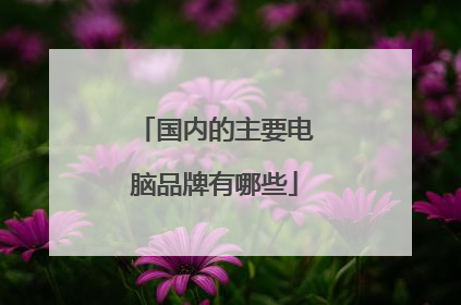 国内的主要电脑品牌有哪些