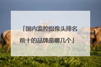 国内监控摄像头排名前十的品牌是哪几个