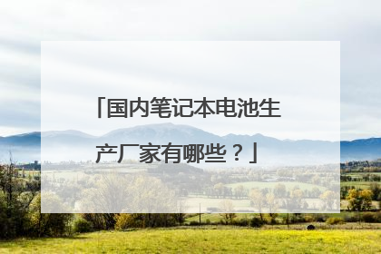 国内笔记本电池生产厂家有哪些?