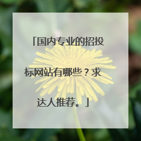 国内专业的招投标网站有哪些？求达人推荐。