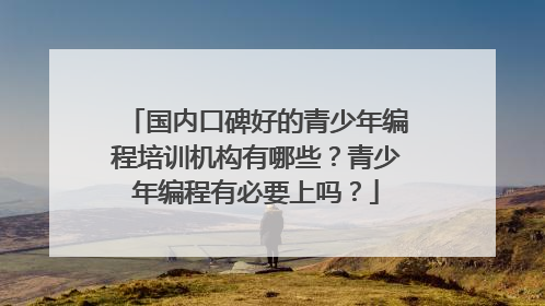国内口碑好的青少年编程培训机构有哪些?青少年编程有必要上吗?